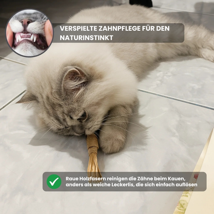 Instinkt & Spielstick (3er Pack)