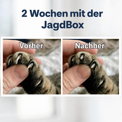 Schleif-Jagdbox