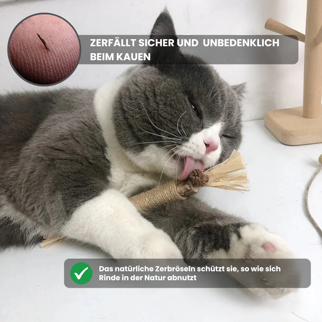 Instinkt & Spielstick (3er Pack)