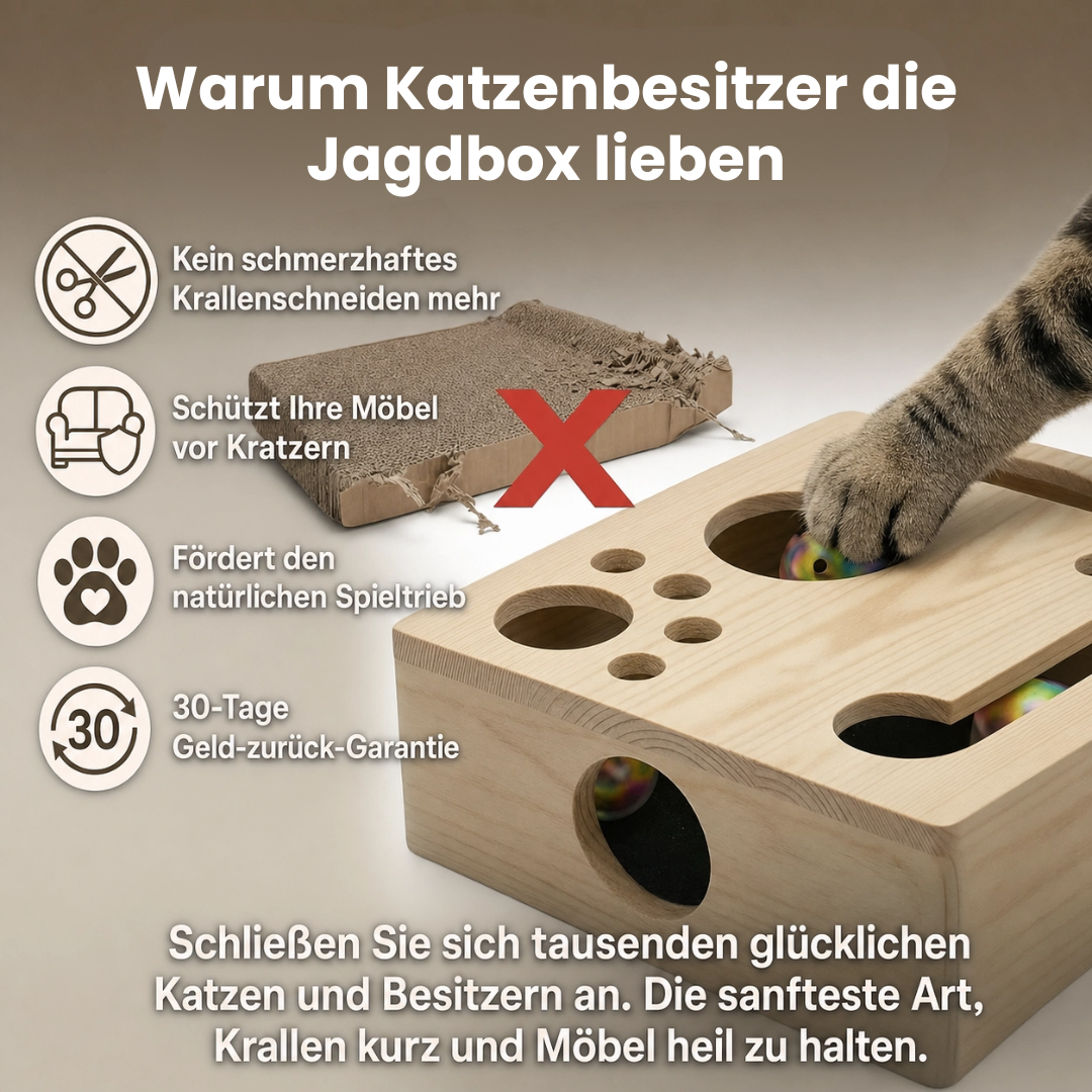 Schleif-Jagdbox